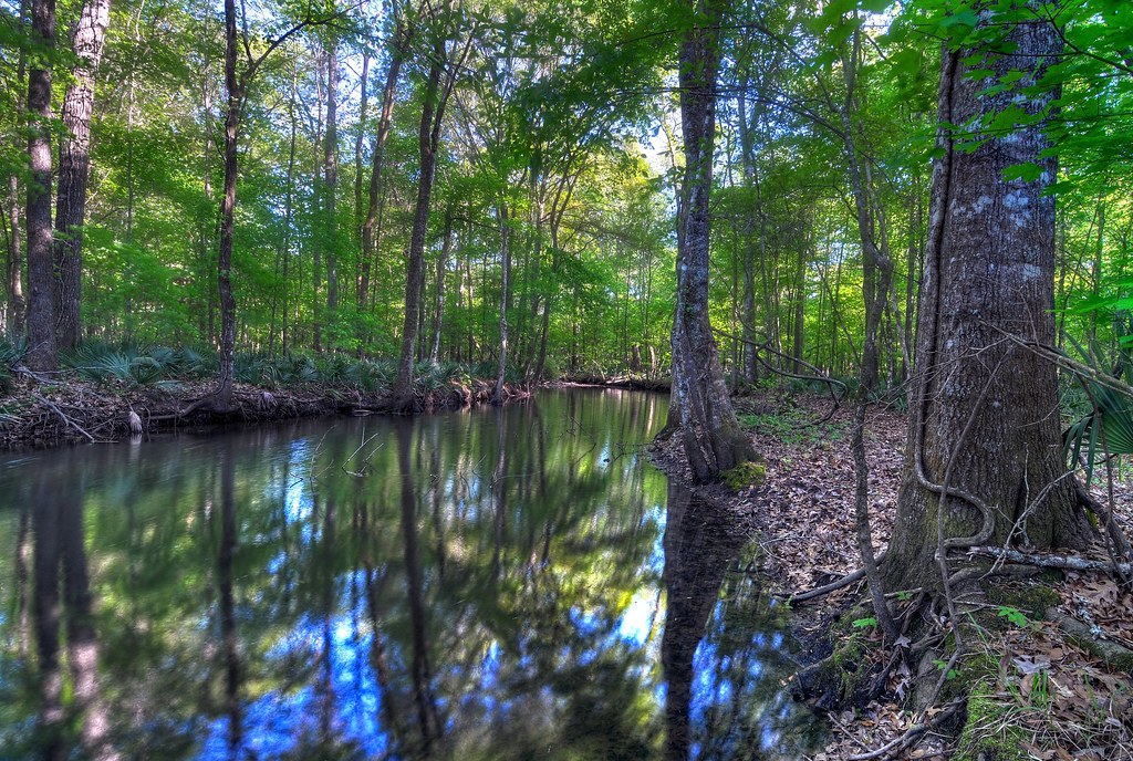 Tallahassee Creek, Dougherty County, Taken in earl… Flickr