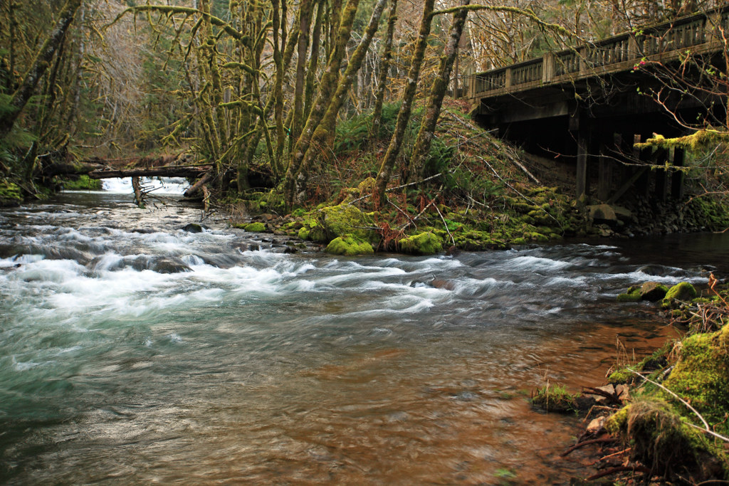 The Crossing Humbug Creek. Elsie, Oregon. Ian Sane Flickr