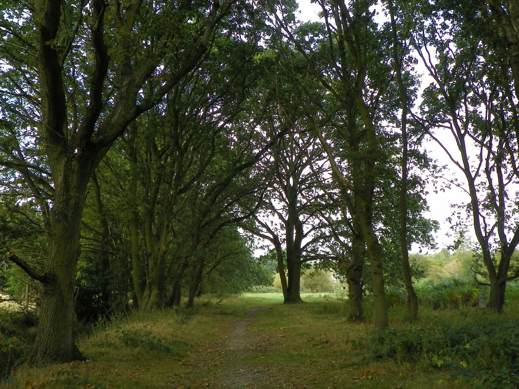 GOC London Colney 053 Colney Heath LNR Colney Heath Local… Flickr