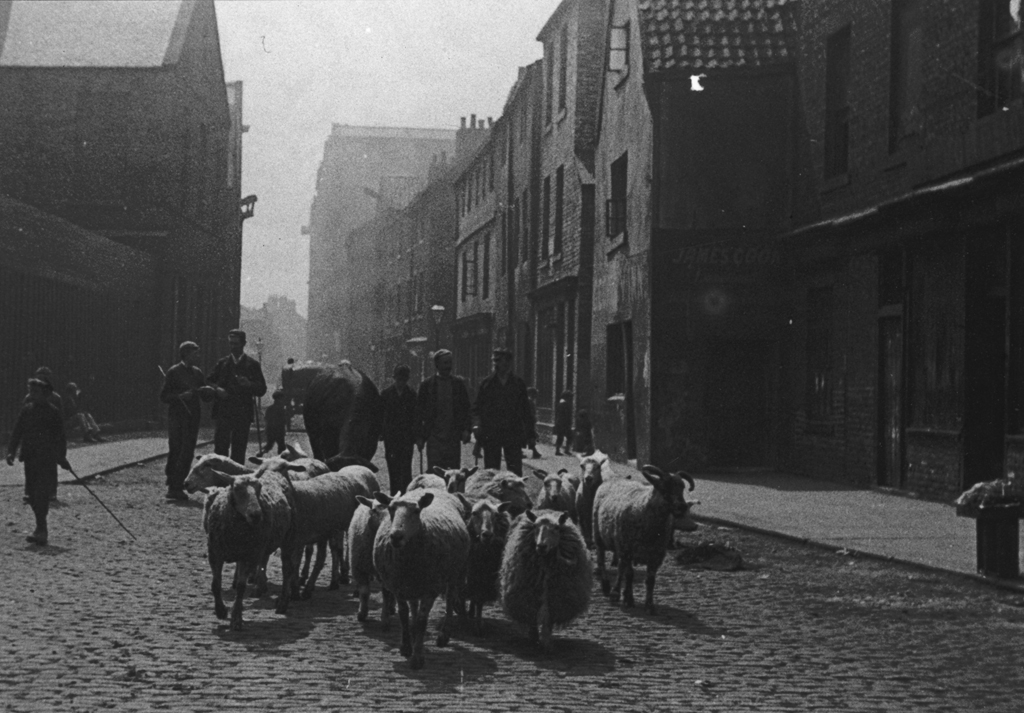 045622 Close, Newcastle upon Tyne, c 1898 Description H… Flickr