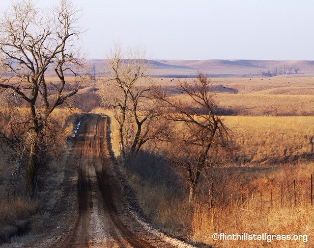 otter creek road 1 Otter Creek Road. Dennis Toll Flickr
