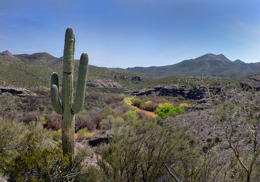 Gila River From Above 1 The Gila River north of Winkelman,… Flickr