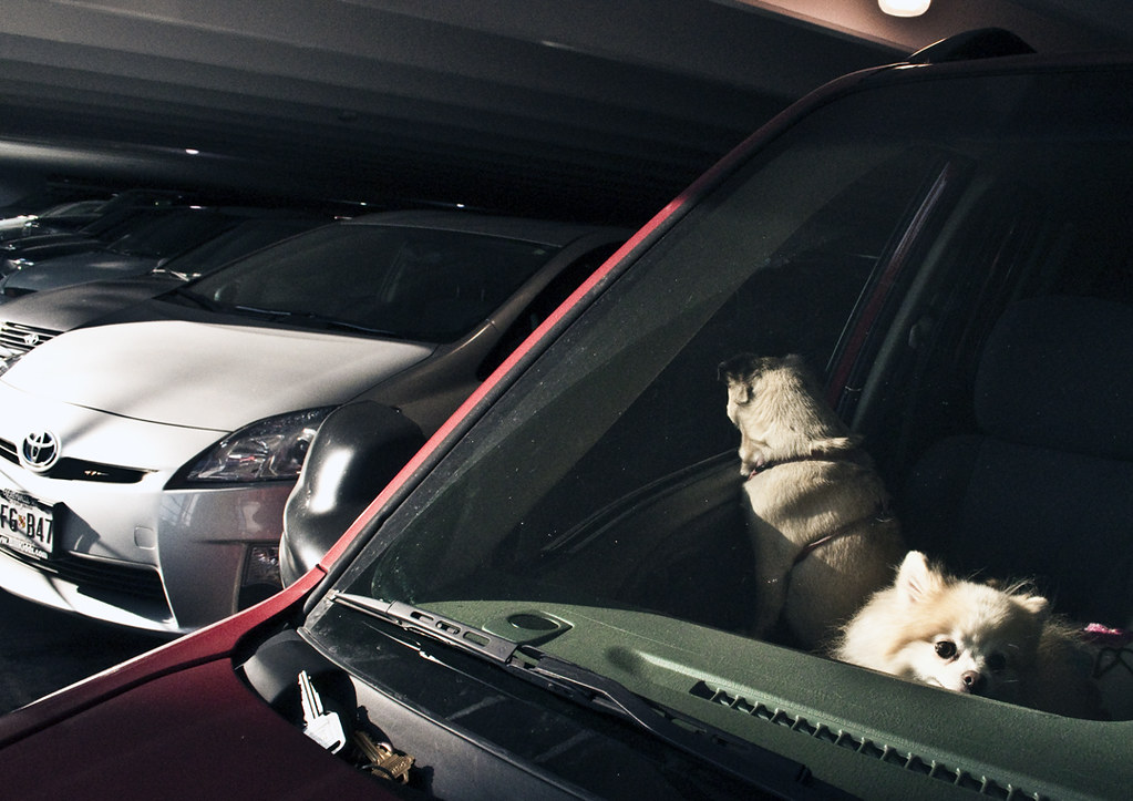 Towson Town Center Parking Garage Flickr