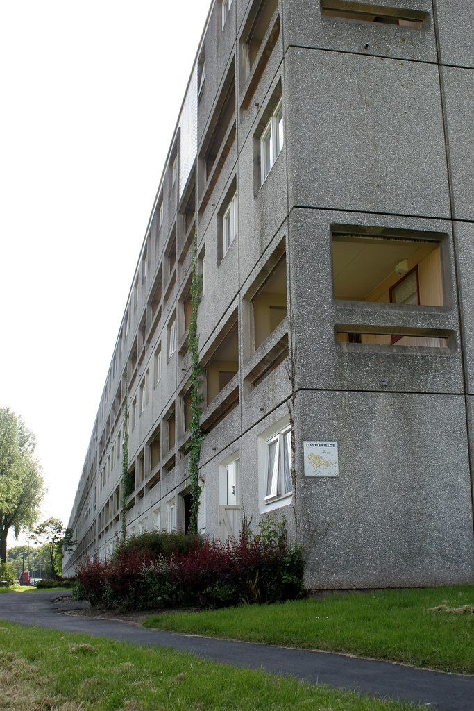 Runcorn. Long flats, Merlin close. boneytongue Flickr
