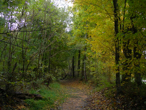 Old Natchez Trace At mile marker 397 on the Trace. Marker… Flickr
