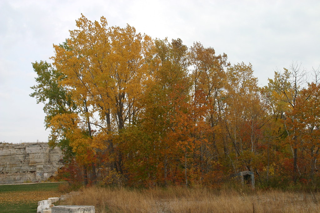 IMG_2575 Olde Stone Quarry County Park, Sturgeon Bay, Door… Flickr