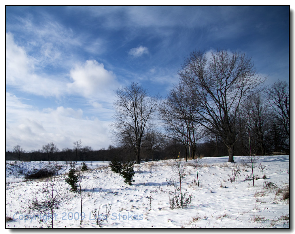 After the Snow and Rain... We got a decent amount of snow … Flickr