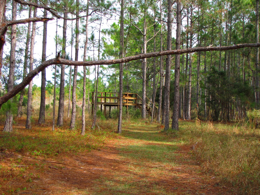 Observation Deck Friendship Trail Brooker Creek Preserve P… Flickr