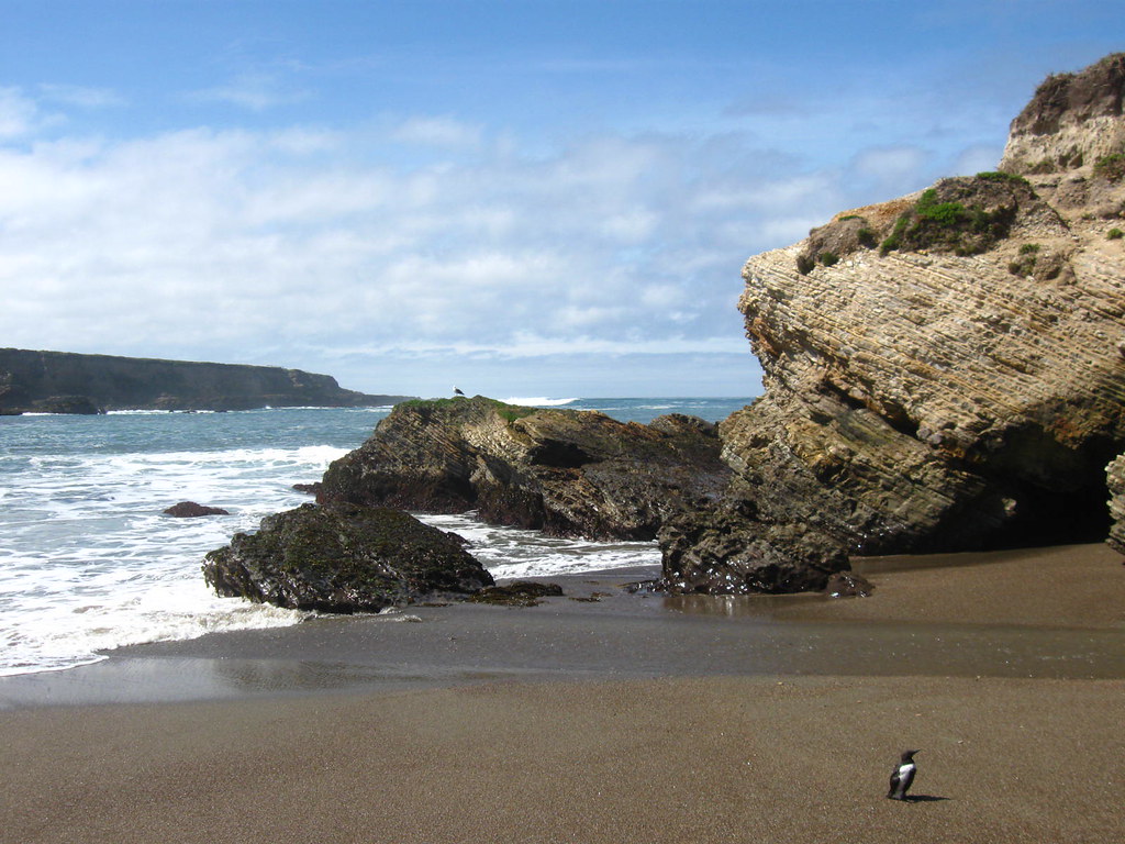 Pismo March 2010 015 Schooner's Cove, Montana de oro State… Ricky