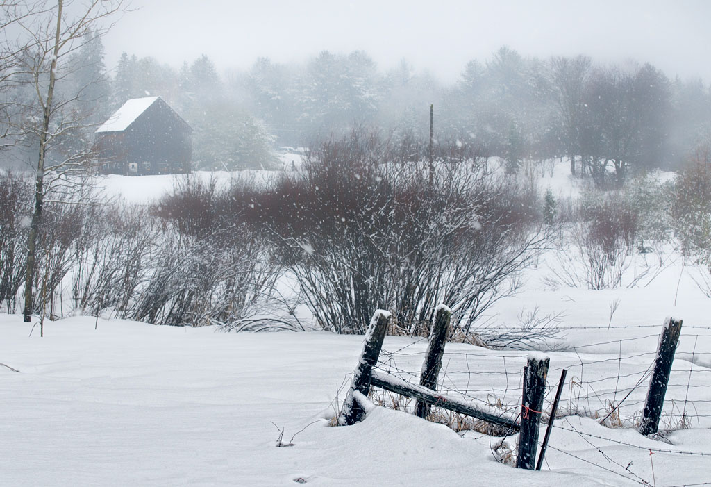 Snowfall, Near Parry Sound, January 2010 DSC8320 looking f… Flickr