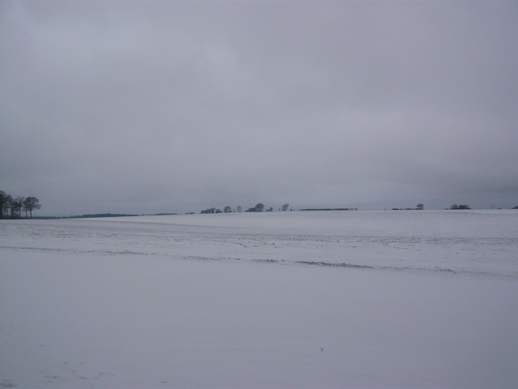 spartan snow run 10.01.10 009 amanda digweed Flickr