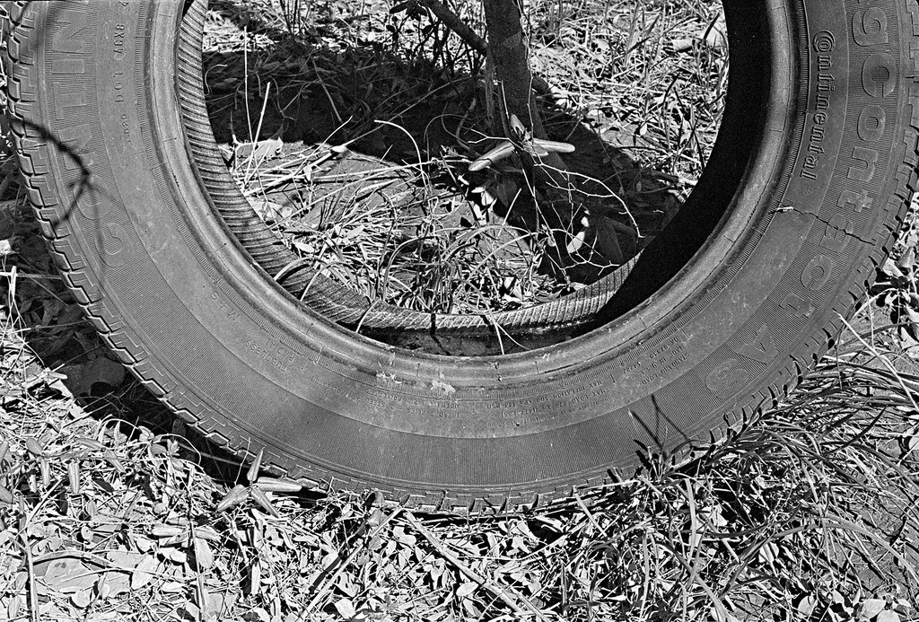 rowlett_tire_01 Nelson Ralls Flickr