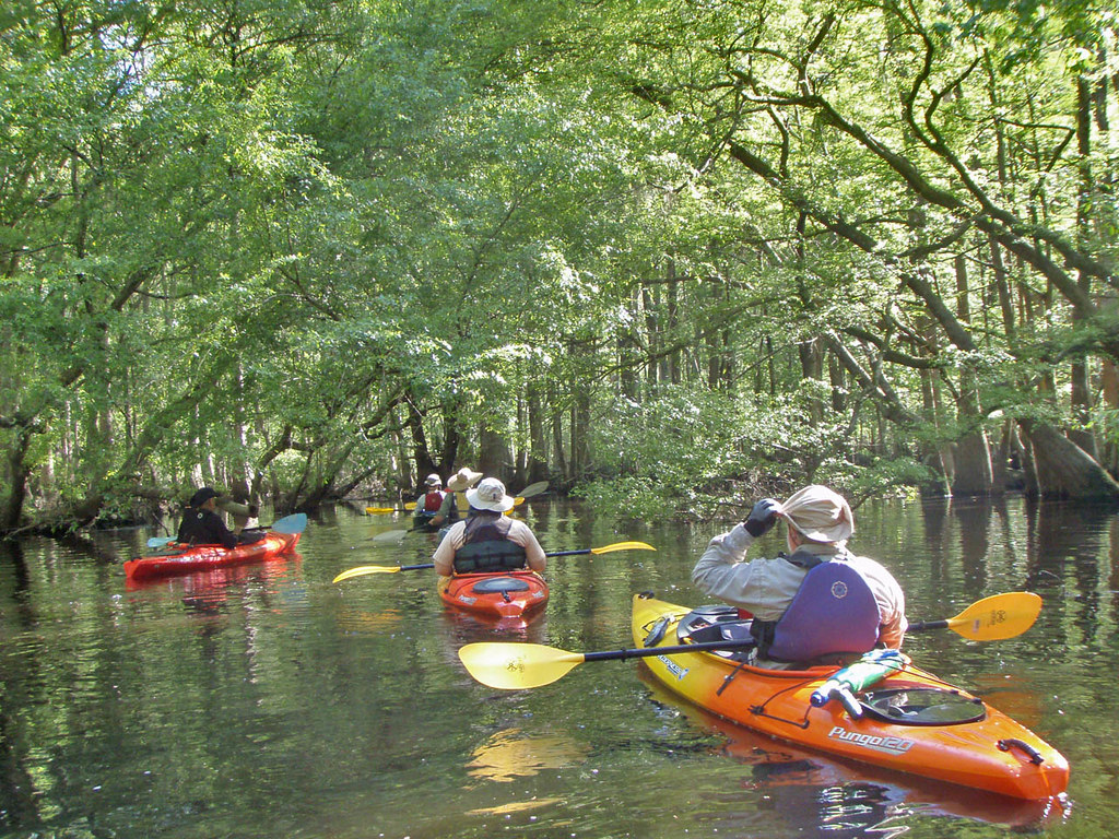 Edisto River kayaking April 10, 2010 Flickr