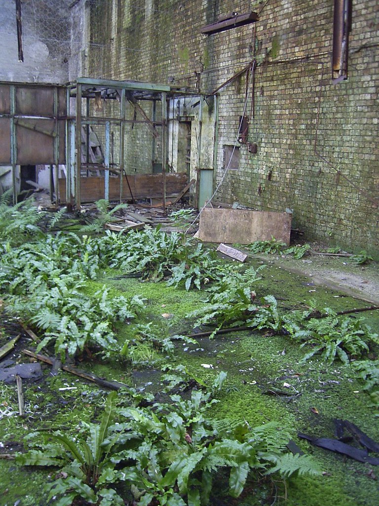 Victoria Power Station Flickr