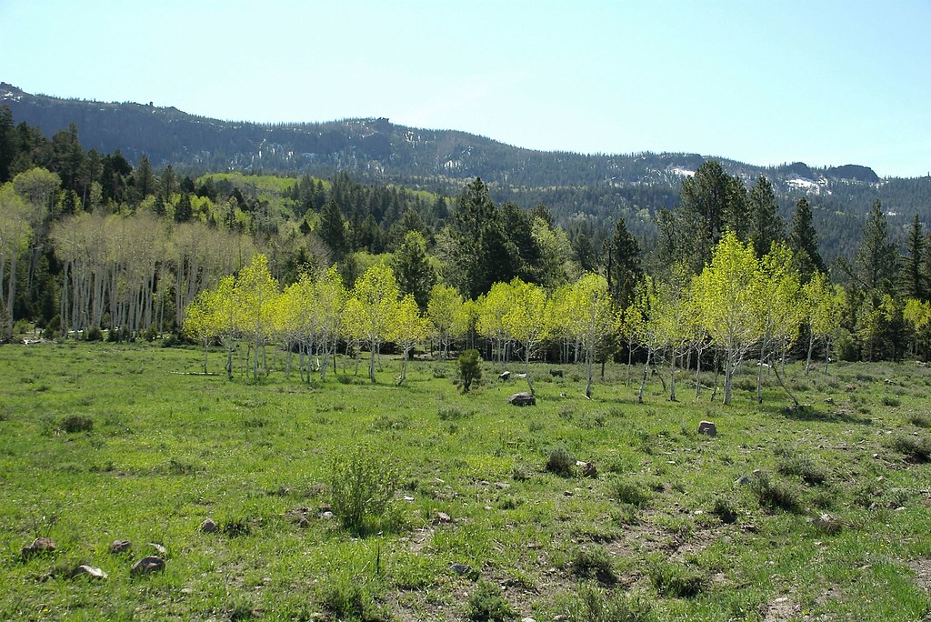Yankee Meadows, Utah DOS Vader Flickr