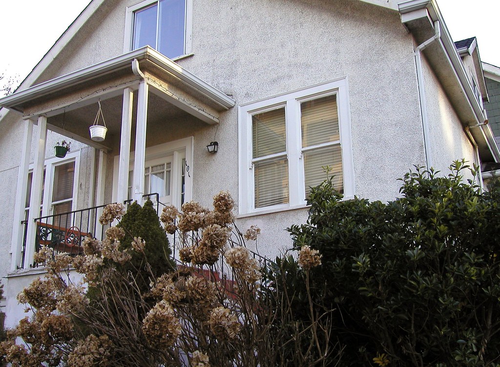 Dwellings, Series 00 03/04 March 2002 Spring will come… Flickr