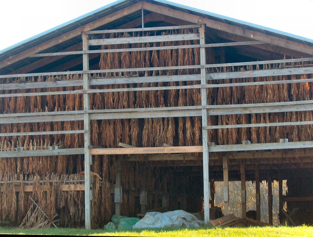 Tobacco Barn An open barn with tobacco drying in it. I too… Flickr