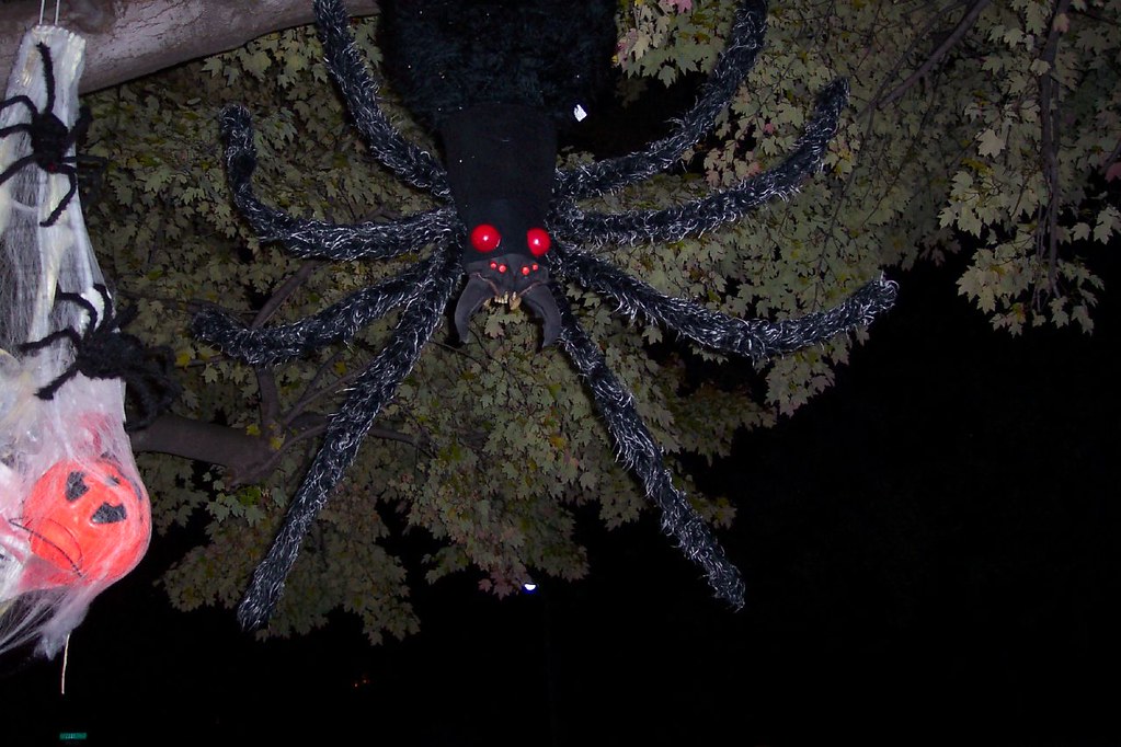 Spiders in the trees Melanie C Flickr
