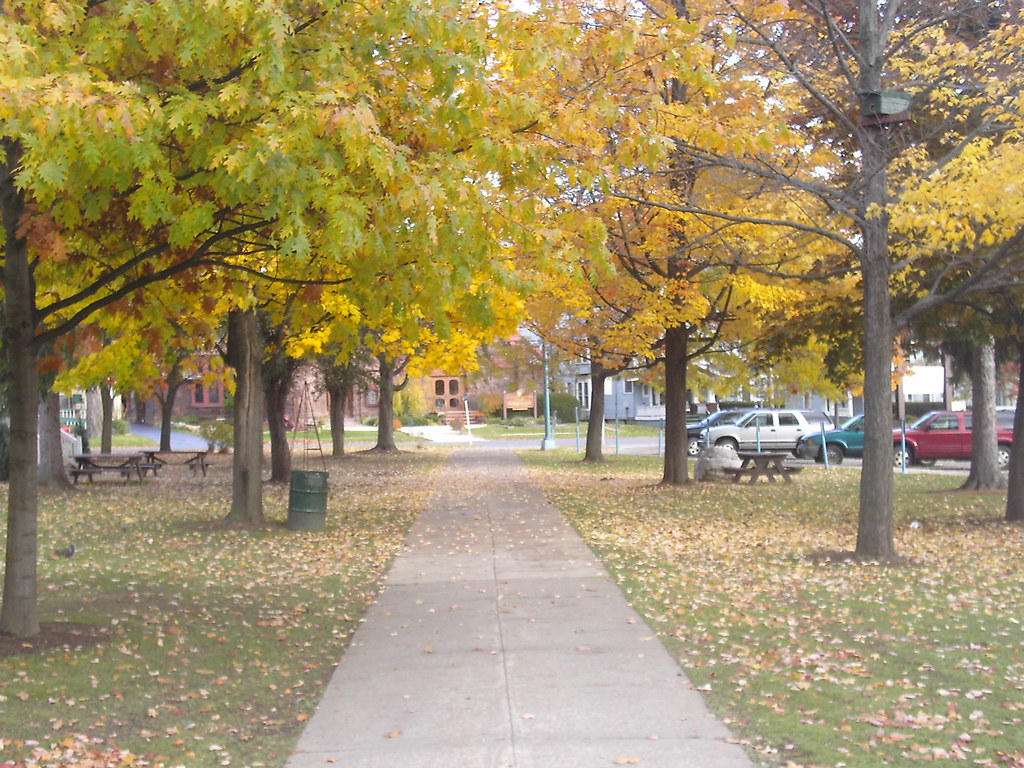 Elevation of E River Rd, Olean, NY, USA Topographic Map Altitude Map