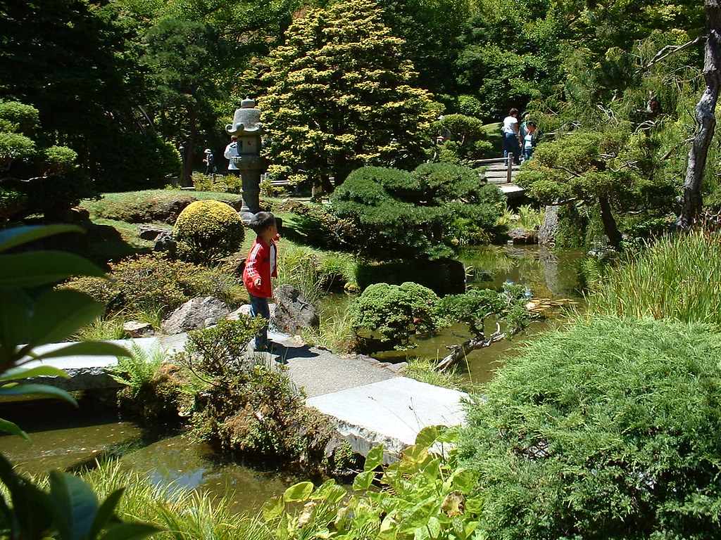 Japanese Tea Garden Mark Paciga Flickr