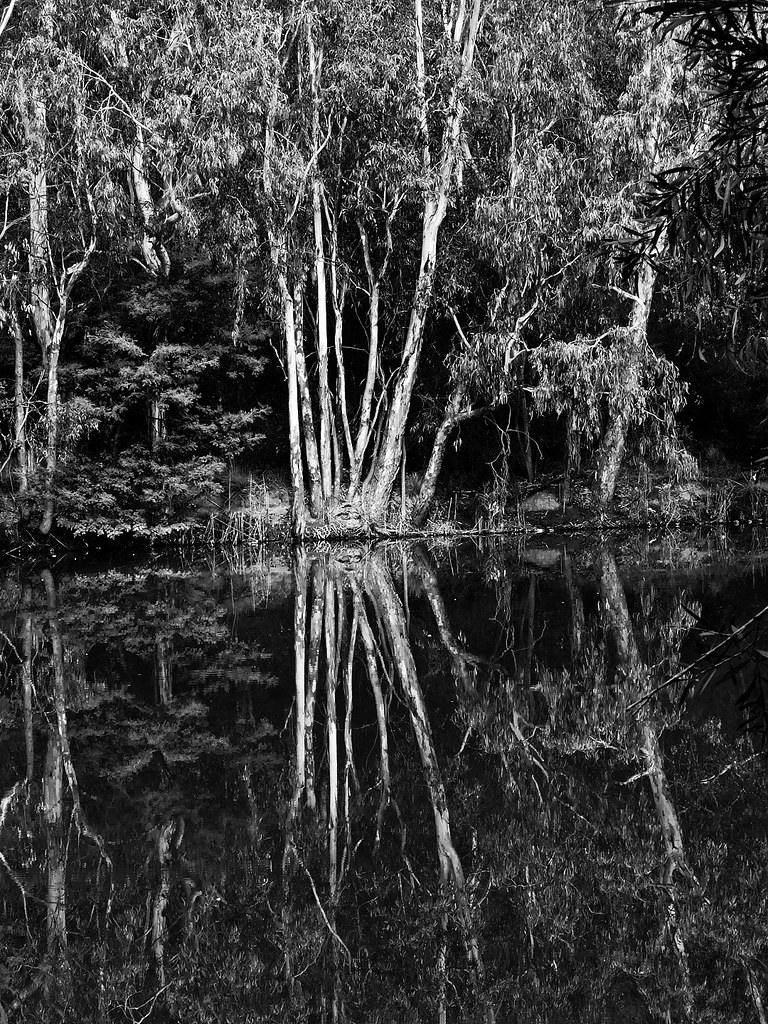 Yarra Bend 2015 Graeme Butler Flickr