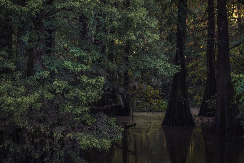 Frenchtown Road Conservation Area Hoping for a good sunris… Flickr