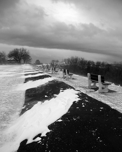 On Black: White Striped Carpet by Doug Tanner [Medium]