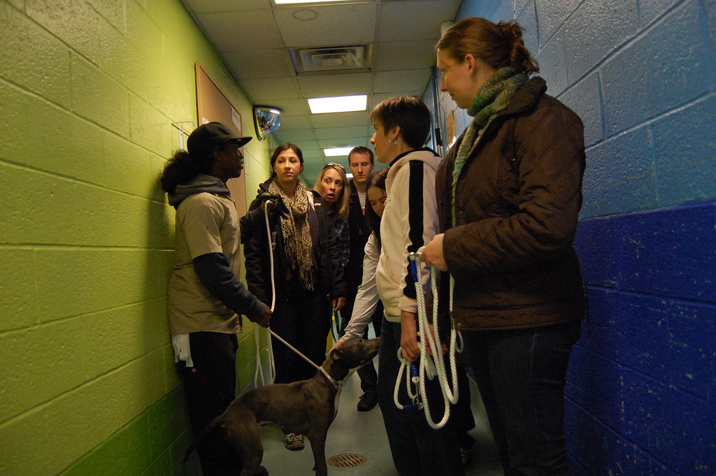 DSC_0112 Brooklyn Animal Care Center 2336 Linden Boulevard… Flickr