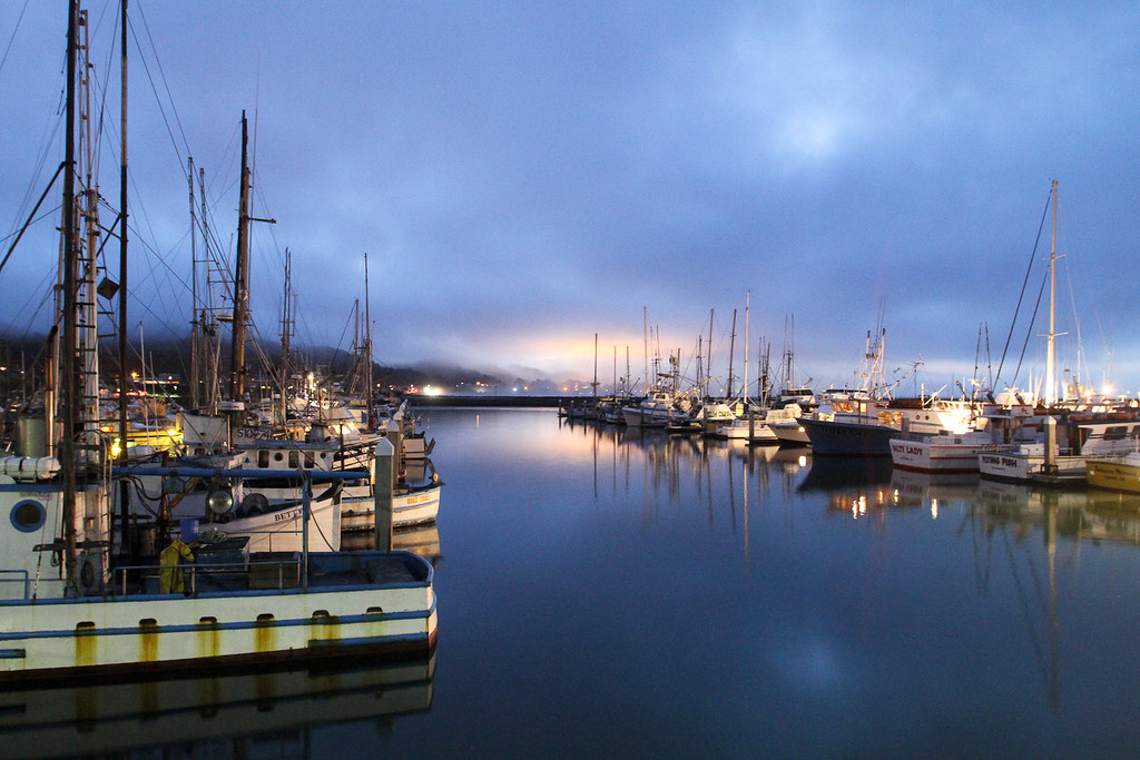Pillar Point Harbor Day of Mavericks Surf Competition Flickr