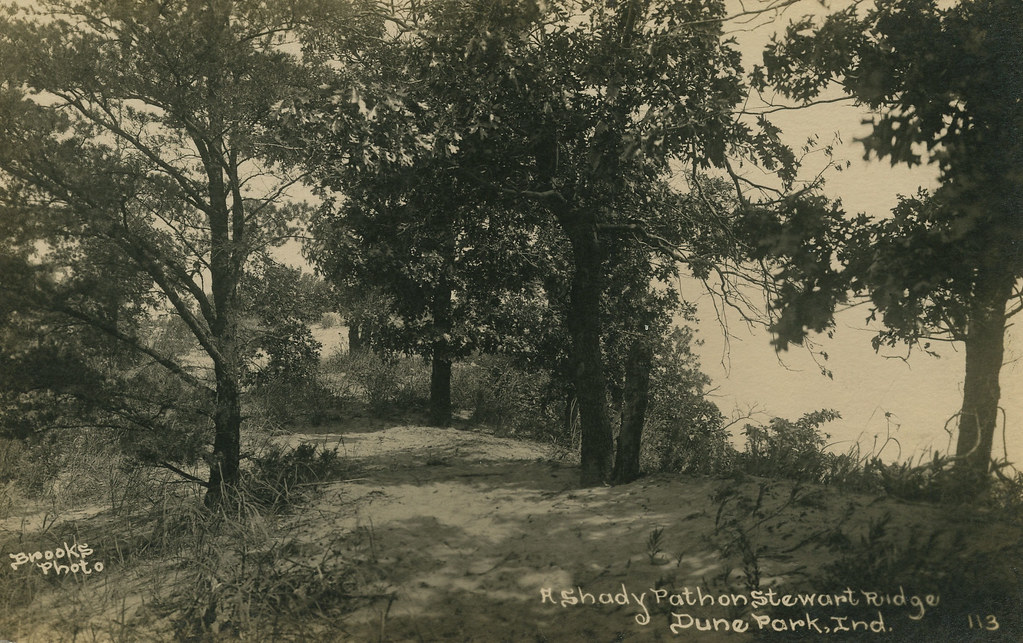 A Shady Path on Stewart Ridge, Indiana Dunes State Park, c… Flickr