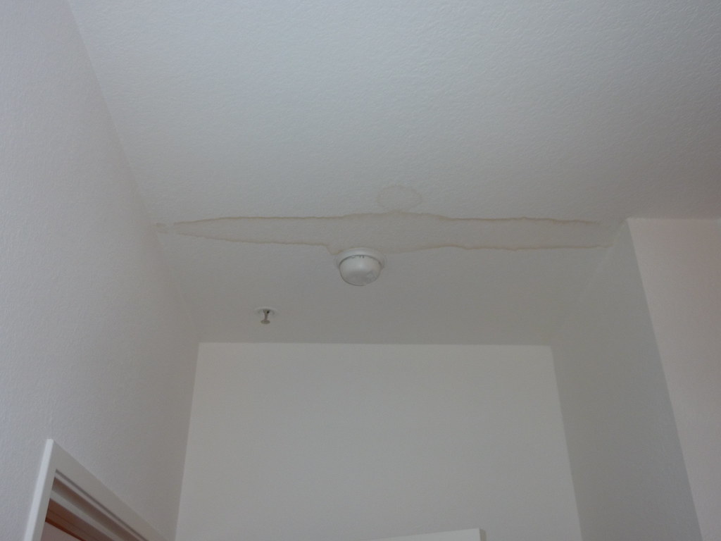 Apartment Mold 004 Mold on ceiling of bedroom cbhatia117 Flickr