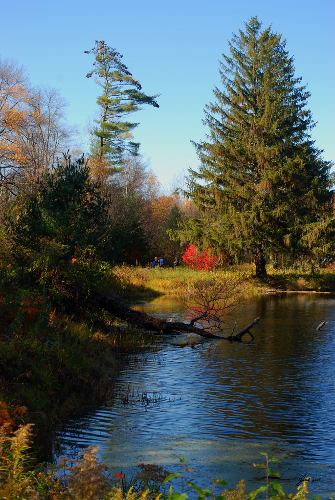 Bensons Animal Park Hudson NH 2009 DSC_7368 jcfreed_1999 Flickr
