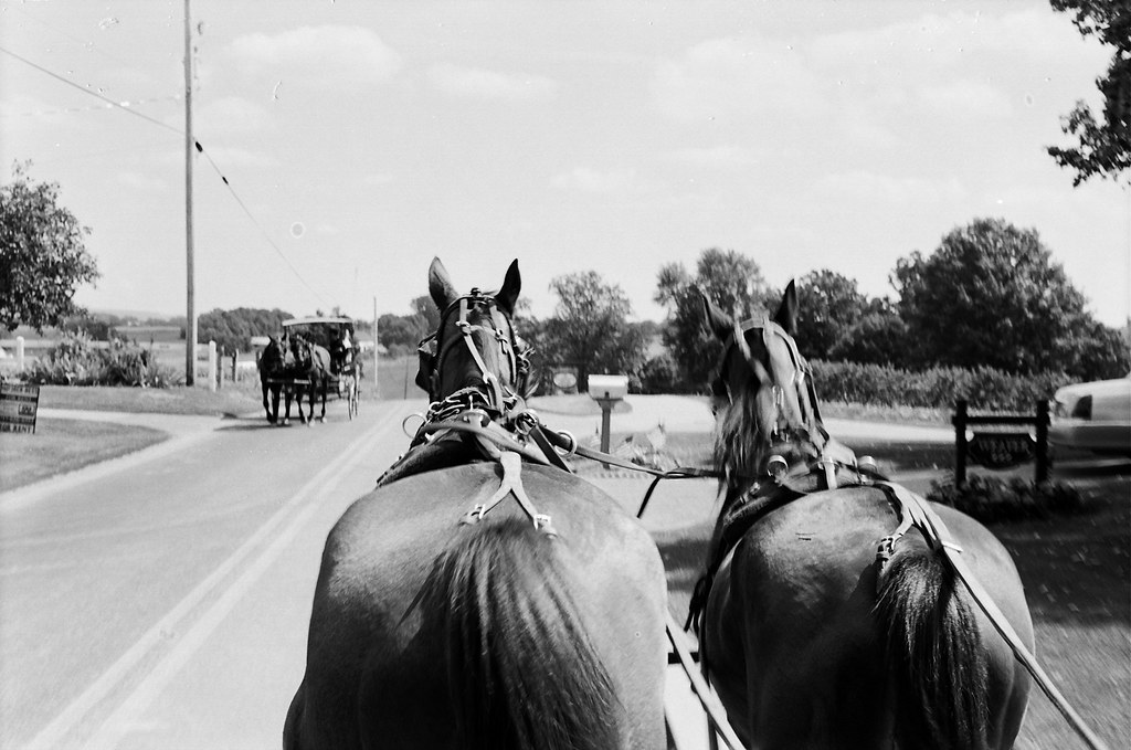 PA Wagon Horses on Road PA Pennsylvania A little vacatio… Flickr