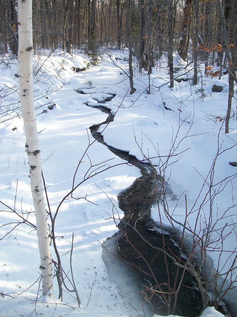 Bottle Brook in winter From Route 16, looking downstream. … Flickr