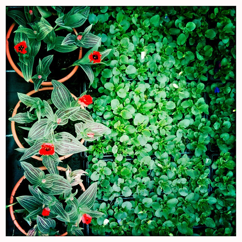 Run into Flowers "Give me peace and chemicals, I want to r… Iain