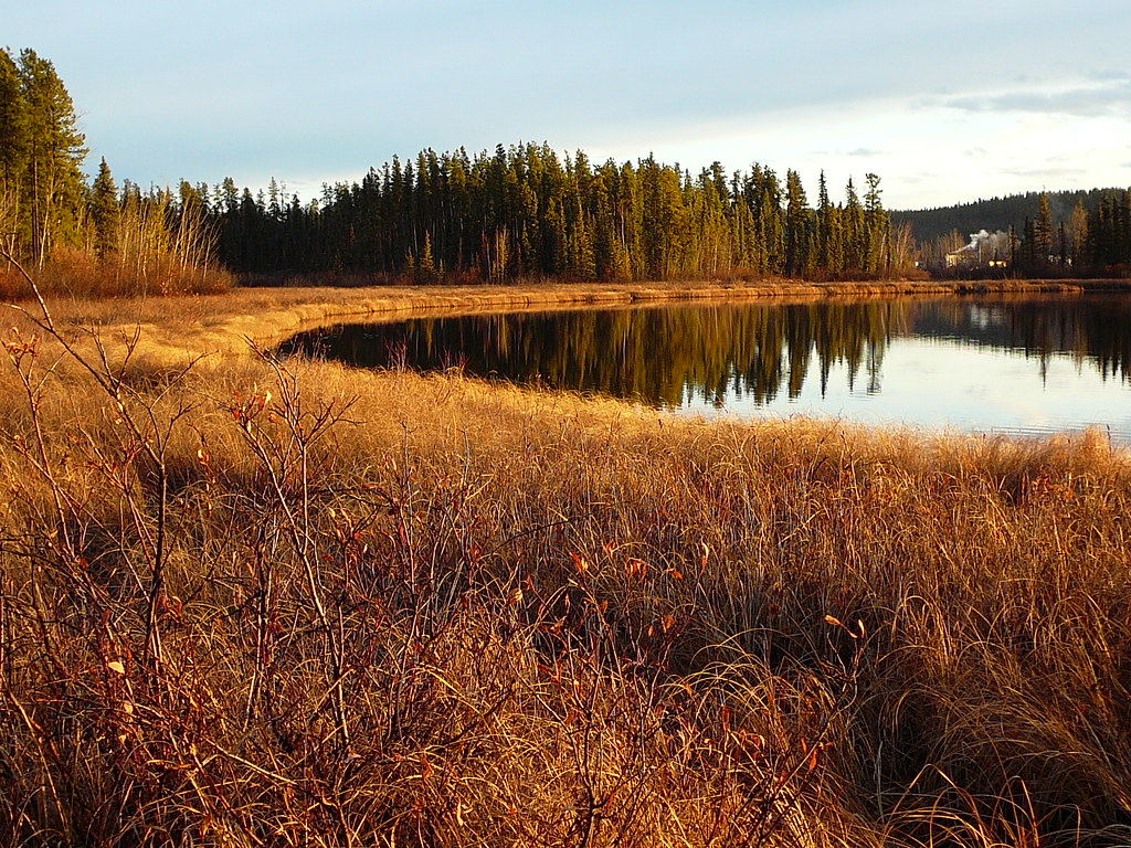 Wye Lake fall at Wye Lake Susan Drury Flickr