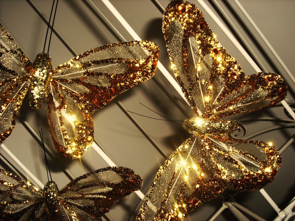 Your My Butterfly Sugar Baby. April Wheeldon Flickr