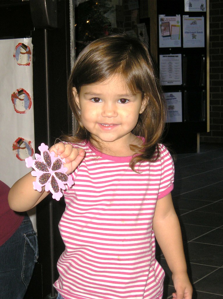 StegerSouth Chicago Heights Public Library Event Photos Flickr