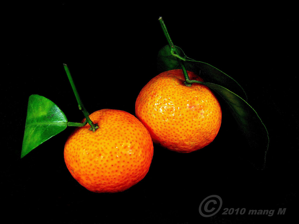 KiatKiat KiatKiat are small and very sweet Mandarin or P… Flickr
