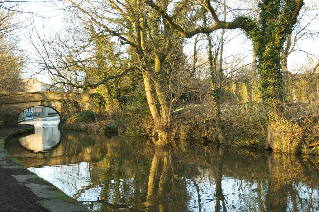 Bridge 28 Bollington canal early evening Jean Lees Flickr