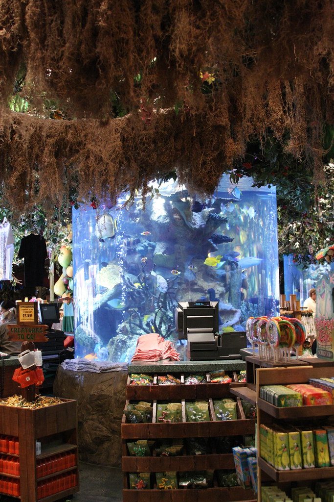 Fish Tank in Rainforest Cafe Rainforest Cafe in Downtown D… Flickr