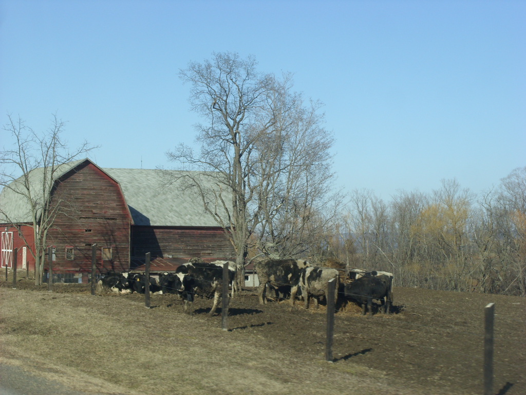 Yates County Route 46 New York Yates County Route 46 N… Flickr