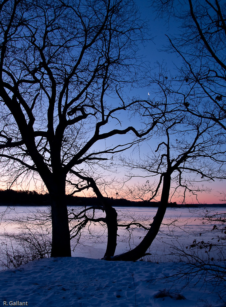 Great Bay Sunrise Great Bay sunrise Jan 10th. A lot of pho… Flickr