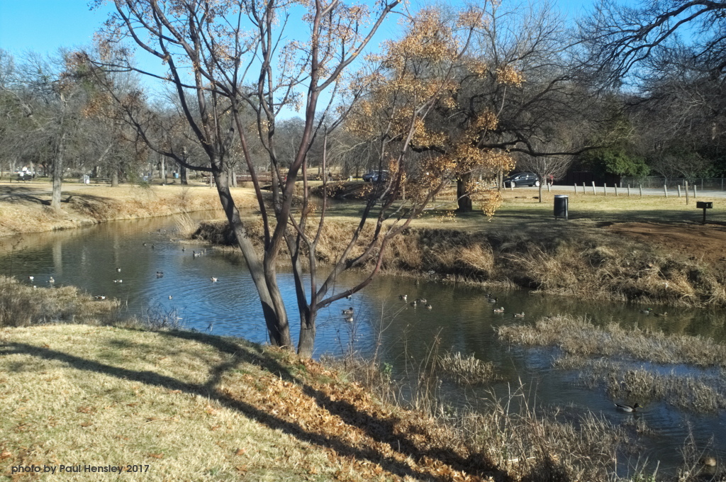at the creek Bear Creek Park, Keller TX pvh photo Flickr
