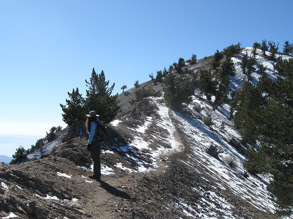 Summit ridge Just walk across the narrow ridge past the Wa… Flickr