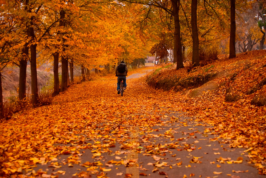 Bear Creek Trail Bear Creek Trail in Merced California by … Flickr
