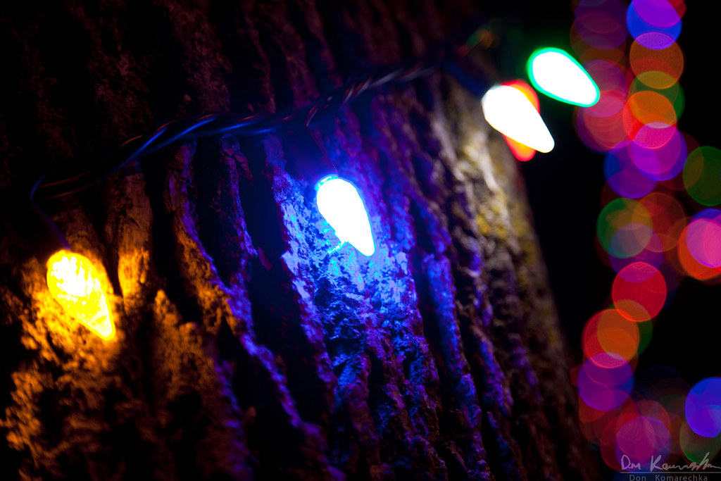 Christmas Lights Christmas lights around a tree trunk, wit… Flickr