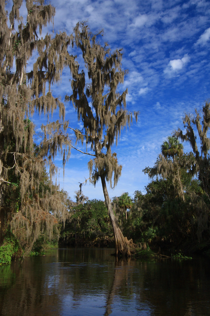 peace river, polk county, florida 4 Alan Cressler Flickr