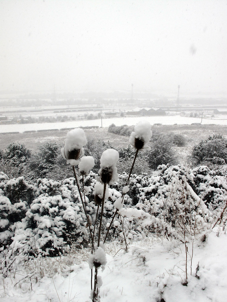 Whiteout Storrs Hill Ossett Emley Moor is in the distance.… Flickr