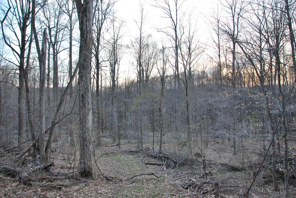 Elevation of Montrose, WV, USA Topographic Map Altitude Map